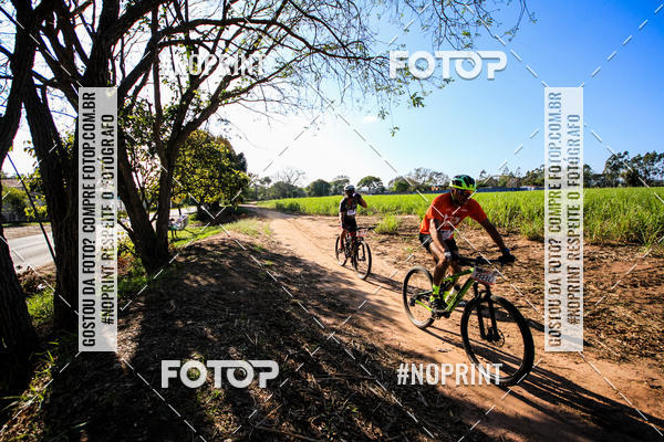 Buy your photos of the eventWolf Series - Botucatu on Fotop