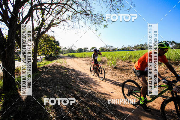 Buy your photos of the eventWolf Series - Botucatu on Fotop