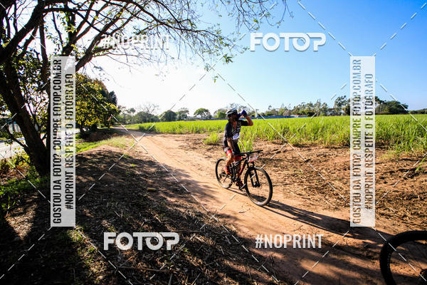 Buy your photos of the eventWolf Series - Botucatu on Fotop