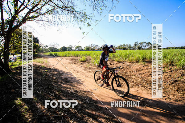 Buy your photos of the eventWolf Series - Botucatu on Fotop