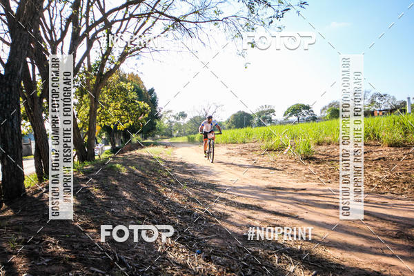 Buy your photos of the eventWolf Series - Botucatu on Fotop