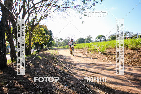 Buy your photos of the eventWolf Series - Botucatu on Fotop