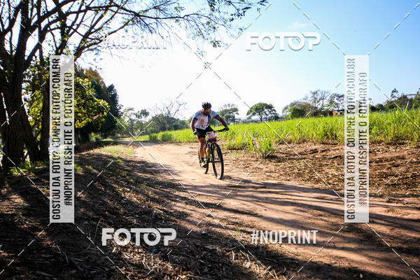 Buy your photos of the eventWolf Series - Botucatu on Fotop
