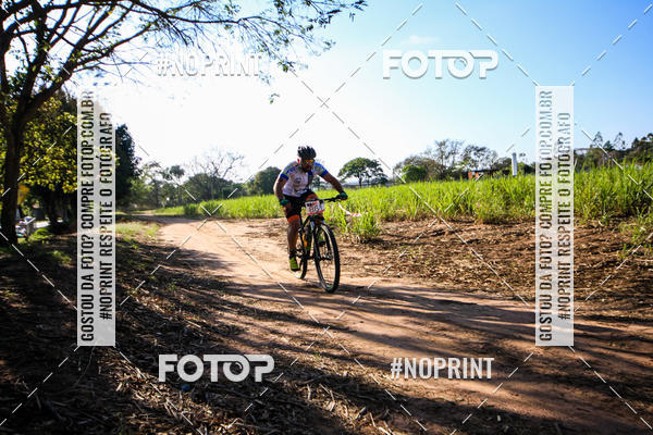 Buy your photos of the eventWolf Series - Botucatu on Fotop