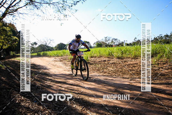 Buy your photos of the eventWolf Series - Botucatu on Fotop