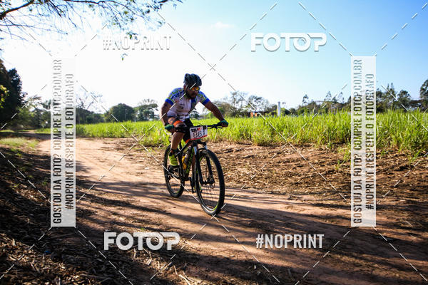 Buy your photos of the eventWolf Series - Botucatu on Fotop