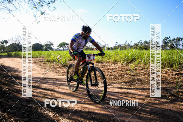 Buy your photos of the eventWolf Series - Botucatu on Fotop