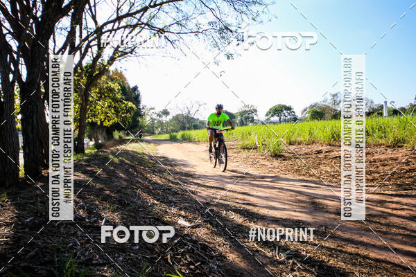 Buy your photos of the eventWolf Series - Botucatu on Fotop