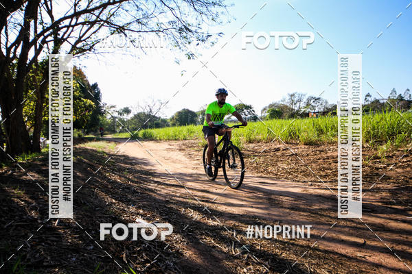 Buy your photos of the eventWolf Series - Botucatu on Fotop