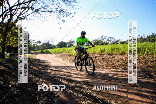 Buy your photos of the eventWolf Series - Botucatu on Fotop