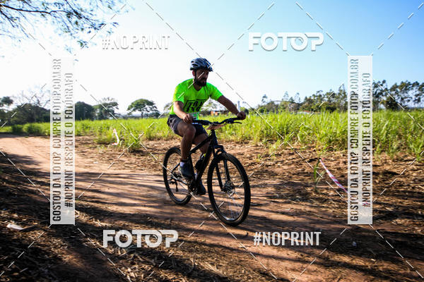 Buy your photos of the eventWolf Series - Botucatu on Fotop