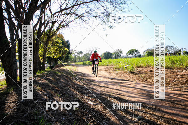 Buy your photos of the eventWolf Series - Botucatu on Fotop