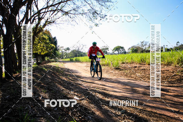 Buy your photos of the eventWolf Series - Botucatu on Fotop