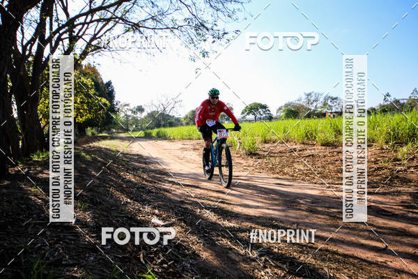 Buy your photos of the eventWolf Series - Botucatu on Fotop