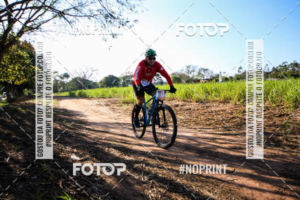 Buy your photos of the eventWolf Series - Botucatu on Fotop