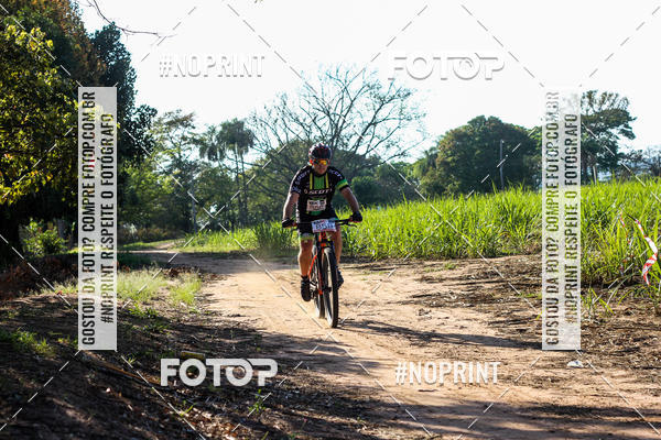 Buy your photos of the eventWolf Series - Botucatu on Fotop