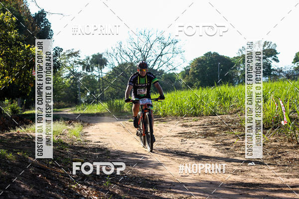 Buy your photos of the eventWolf Series - Botucatu on Fotop