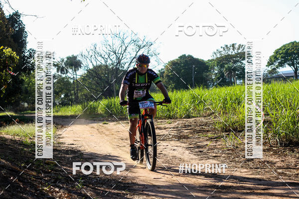 Buy your photos of the eventWolf Series - Botucatu on Fotop