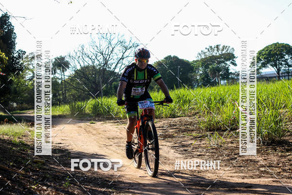 Buy your photos of the eventWolf Series - Botucatu on Fotop