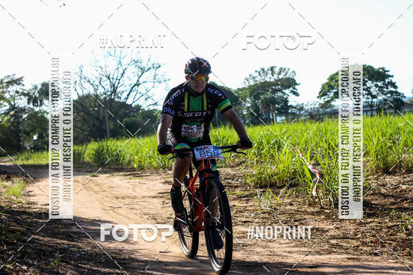 Buy your photos of the eventWolf Series - Botucatu on Fotop