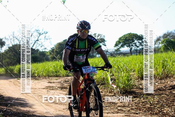 Buy your photos of the eventWolf Series - Botucatu on Fotop