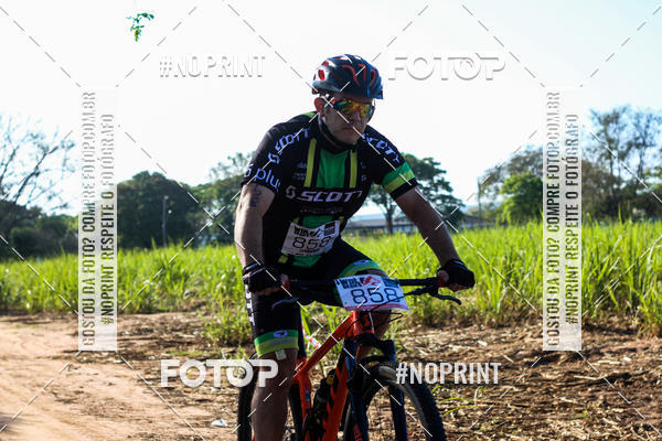 Buy your photos of the eventWolf Series - Botucatu on Fotop