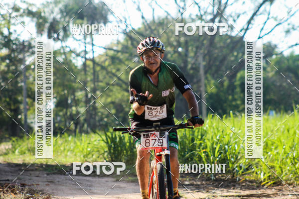 Buy your photos of the eventWolf Series - Botucatu on Fotop