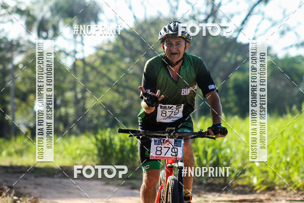 Buy your photos of the eventWolf Series - Botucatu on Fotop