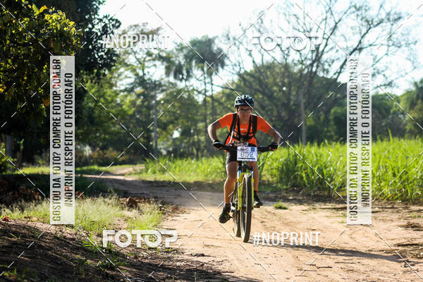 Buy your photos of the eventWolf Series - Botucatu on Fotop