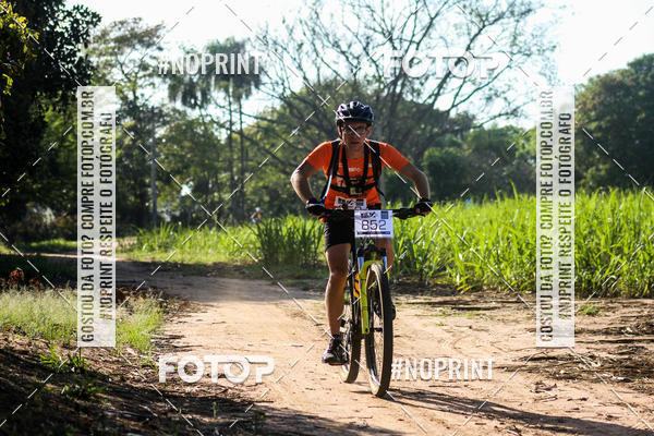 Buy your photos of the eventWolf Series - Botucatu on Fotop