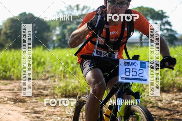 Buy your photos of the eventWolf Series - Botucatu on Fotop