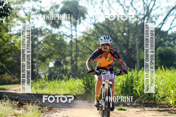 Buy your photos of the eventWolf Series - Botucatu on Fotop