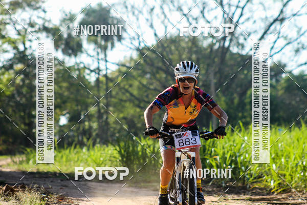 Buy your photos of the eventWolf Series - Botucatu on Fotop