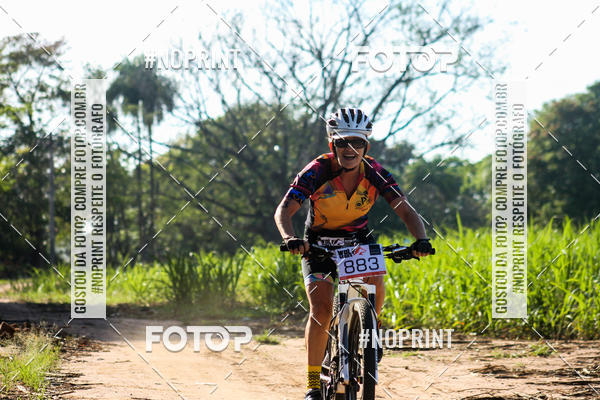 Buy your photos of the eventWolf Series - Botucatu on Fotop