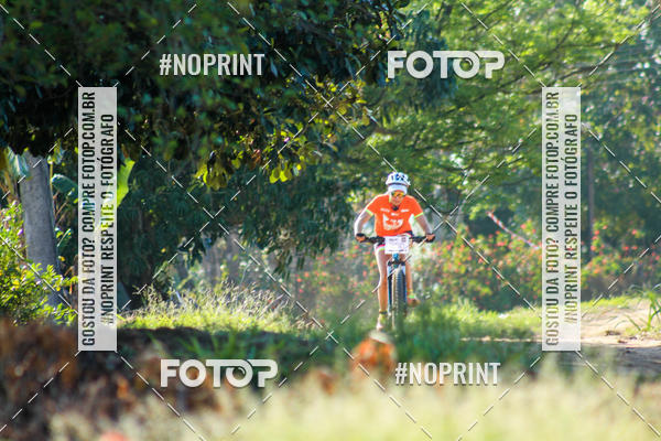 Buy your photos of the eventWolf Series - Botucatu on Fotop