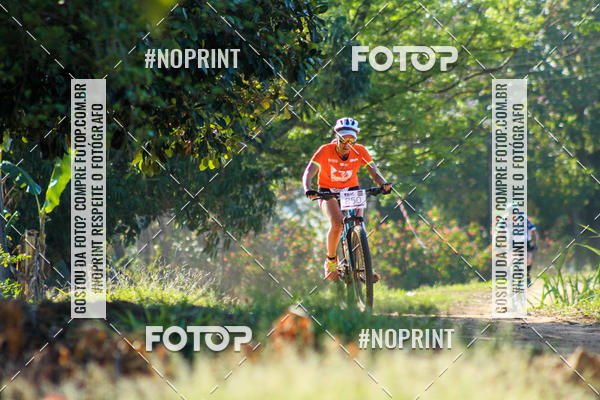 Buy your photos of the eventWolf Series - Botucatu on Fotop