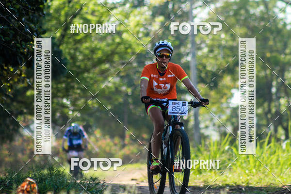 Buy your photos of the eventWolf Series - Botucatu on Fotop