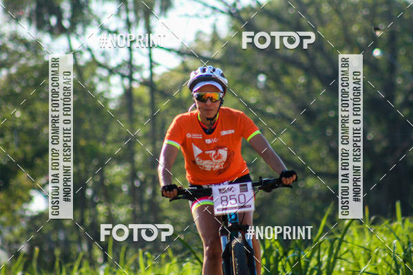 Buy your photos of the eventWolf Series - Botucatu on Fotop