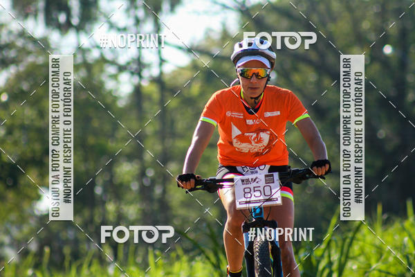 Buy your photos of the eventWolf Series - Botucatu on Fotop