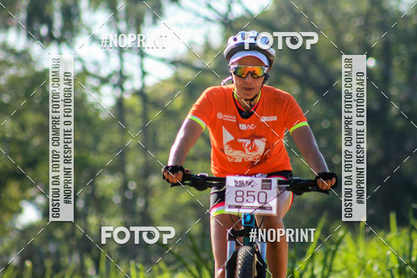 Buy your photos of the eventWolf Series - Botucatu on Fotop