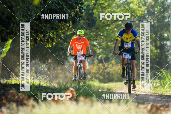 Buy your photos of the eventWolf Series - Botucatu on Fotop