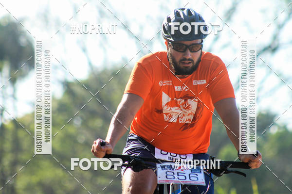 Buy your photos of the eventWolf Series - Botucatu on Fotop