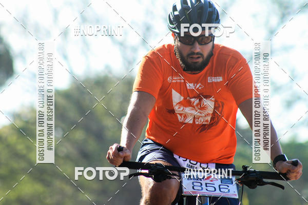 Buy your photos of the eventWolf Series - Botucatu on Fotop