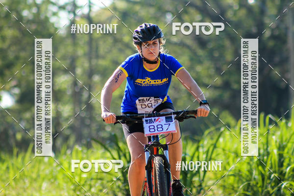 Buy your photos of the eventWolf Series - Botucatu on Fotop