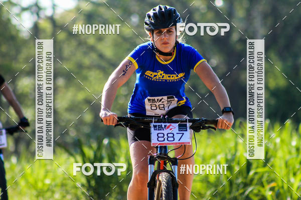 Buy your photos of the eventWolf Series - Botucatu on Fotop