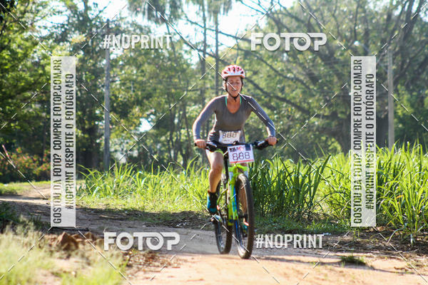 Buy your photos of the eventWolf Series - Botucatu on Fotop