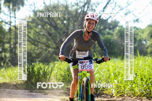 Buy your photos of the eventWolf Series - Botucatu on Fotop