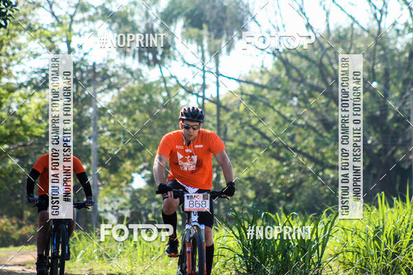 Buy your photos of the eventWolf Series - Botucatu on Fotop