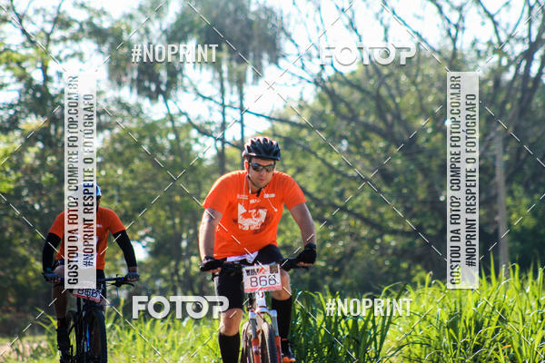 Buy your photos of the eventWolf Series - Botucatu on Fotop