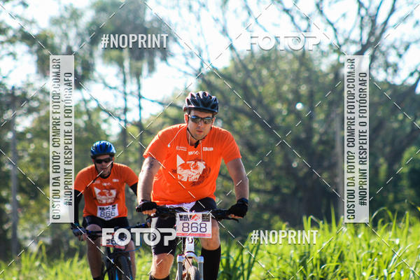 Buy your photos of the eventWolf Series - Botucatu on Fotop